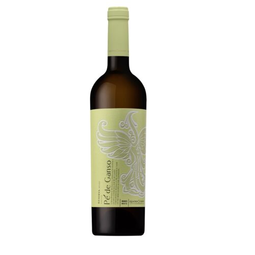 Pé de Ganso reserva Branco