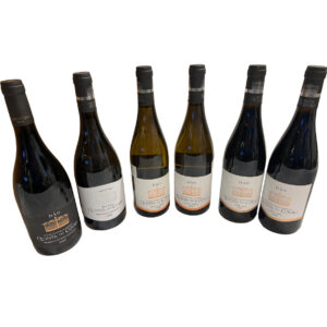 Smagekasse elegante topvine på Encruzado og Touriga Nacional druer fra Dão regionen. Vinoplevelser i verdensklasse - to af vinene er blandt top 1%.